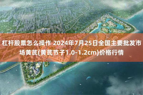 杠杆股票怎么操作 2024年7月25日全国主要批发市场黄芪(黄芪节子1.0-1.2cm)价格行情
