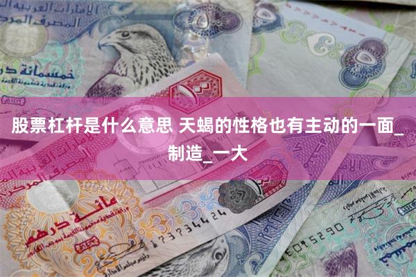 股票杠杆是什么意思 天蝎的性格也有主动的一面_制造_一大
