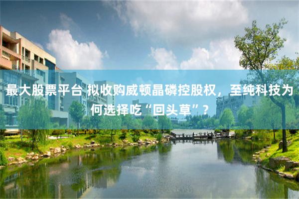 最大股票平台 拟收购威顿晶磷控股权，至纯科技为何选择吃“回头草”？