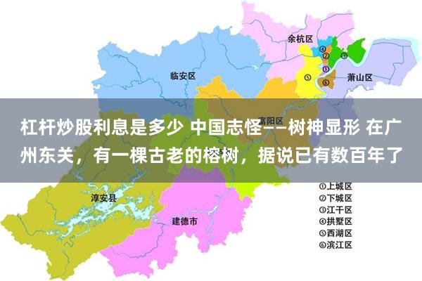 杠杆炒股利息是多少 中国志怪——树神显形 在广州东关，有一棵古老的榕树，据说已有数百年了