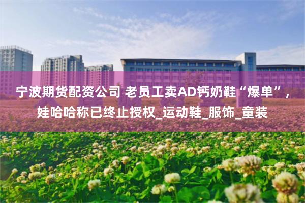 宁波期货配资公司 老员工卖AD钙奶鞋“爆单”，娃哈哈称已终止授权_运动鞋_服饰_童装
