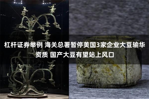 杠杆证券举例 海关总署暂停美国3家企业大豆输华资质 国产大豆有望站上风口