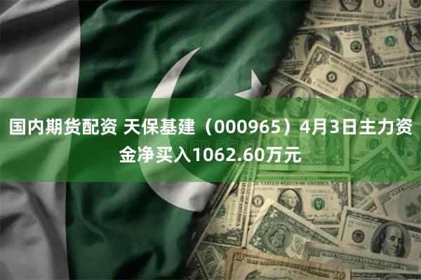 国内期货配资 天保基建（000965）4月3日主力资金净买入1062.60万元