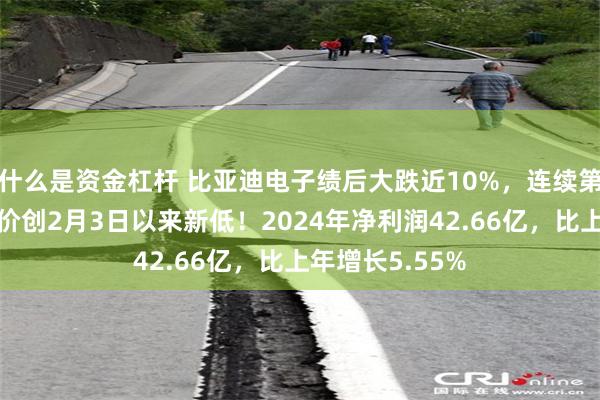 什么是资金杠杆 比亚迪电子绩后大跌近10%，连续第五日下跌，股价创2月3日以来新低！2024年净利润42.66亿，比上年增长5.55%
