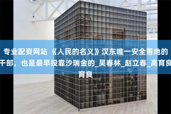 专业配资网站 《人民的名义》汉东唯一安全落地的干部，也是最早投靠沙瑞金的_吴春林_赵立春_高育良