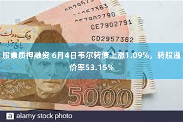 股票质押融资 6月4日韦尔转债上涨1.09%，转股溢价率53.15%