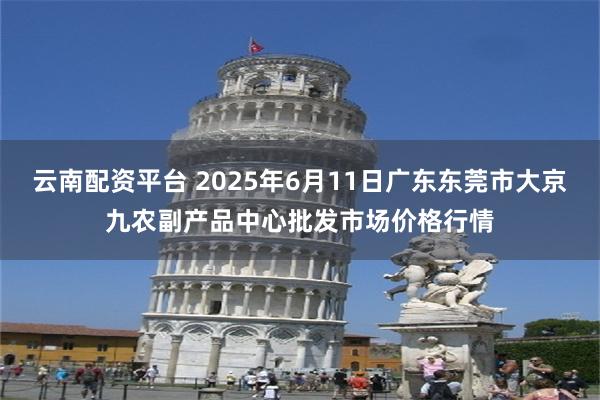 云南配资平台 2025年6月11日广东东莞市大京九农副产品中心批发市场价格行情