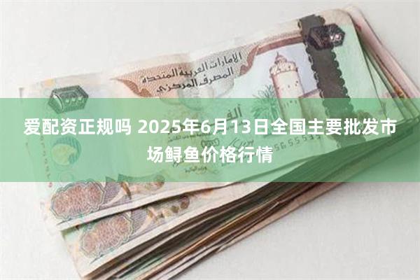 爱配资正规吗 2025年6月13日全国主要批发市场鲟鱼价格行情