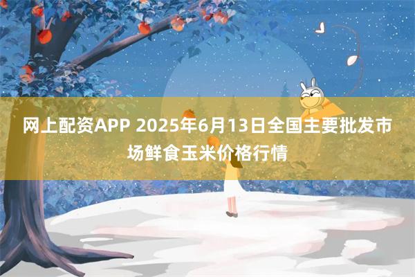 网上配资APP 2025年6月13日全国主要批发市场鲜食玉米价格行情